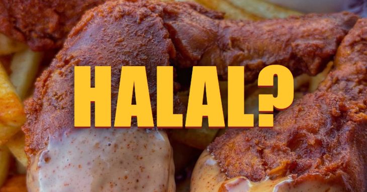 Is Dave's Hot Chicken halal? Close-up of Nashville hot chicken legs with dipping sauce and fries
