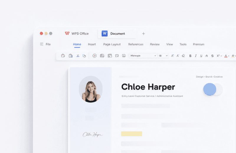 WPS Office Writer document editor
